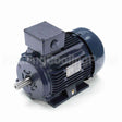 R320B Marathon Motor