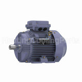 R326B Marathon Motor