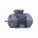 R333B Marathon Motor