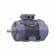 R333B Marathon Motor