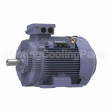 R349B Marathon Motor