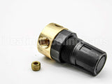R364-02C Parker Watts Fluid Air 1/4" Reg. 0-125#