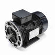 R398A Marathon Motor