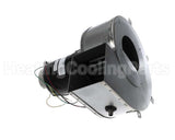 R78310 Aaon 1/4Hp 230V 3400Rpm Comb Assy