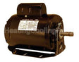 RS1054AV1 Regal Rexnord - Century Motors 1/2Hp 1725Rpm 115/230V 56F 1Ph