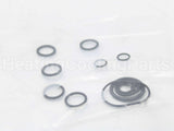 RTG20206 Rheem-Ruud Oring Kit Palona