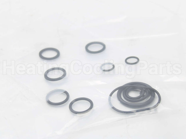 RTG20206 Rheem-Ruud Oring Kit Palona