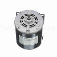 S003 Marathon Motor