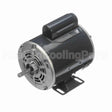 S010 Marathon Motor