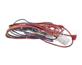 S1-025-31810-001 York Replacement Harness Assembly