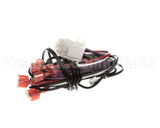 S1-025-41029-000 York Wire Harness