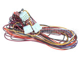 S1-025-41032-000 York Wire Harness S12/S13/S14/S4