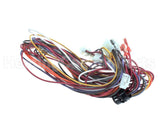 S1-025-41032-000 York Wire Harness S12/S13/S14/S4