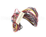 S1-025-41300-000 York Electric Harness
