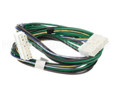 S1-025-41349-000 York 16 Pin Wiring Harness