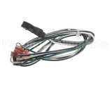 S1-025-42647-000 York Mtr Harness Power