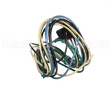 S1-025-46646-000 York Wiring Harness Condenser Motor