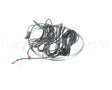 S1-025-50543-000 York Htr Cc Band 70W 240V 7.3" Dia