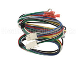 S1-025-51481-000 York Harness Wiring Furn