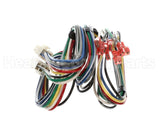 S1-025-51481-000 York Harness Wiring Furn