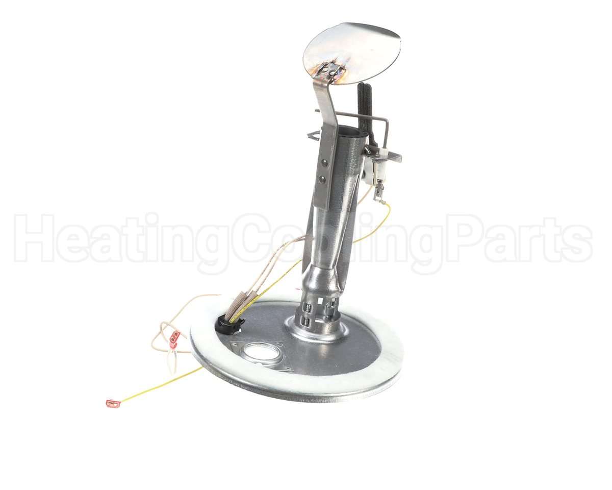 S1-373-19801-403 York Burner Assembly