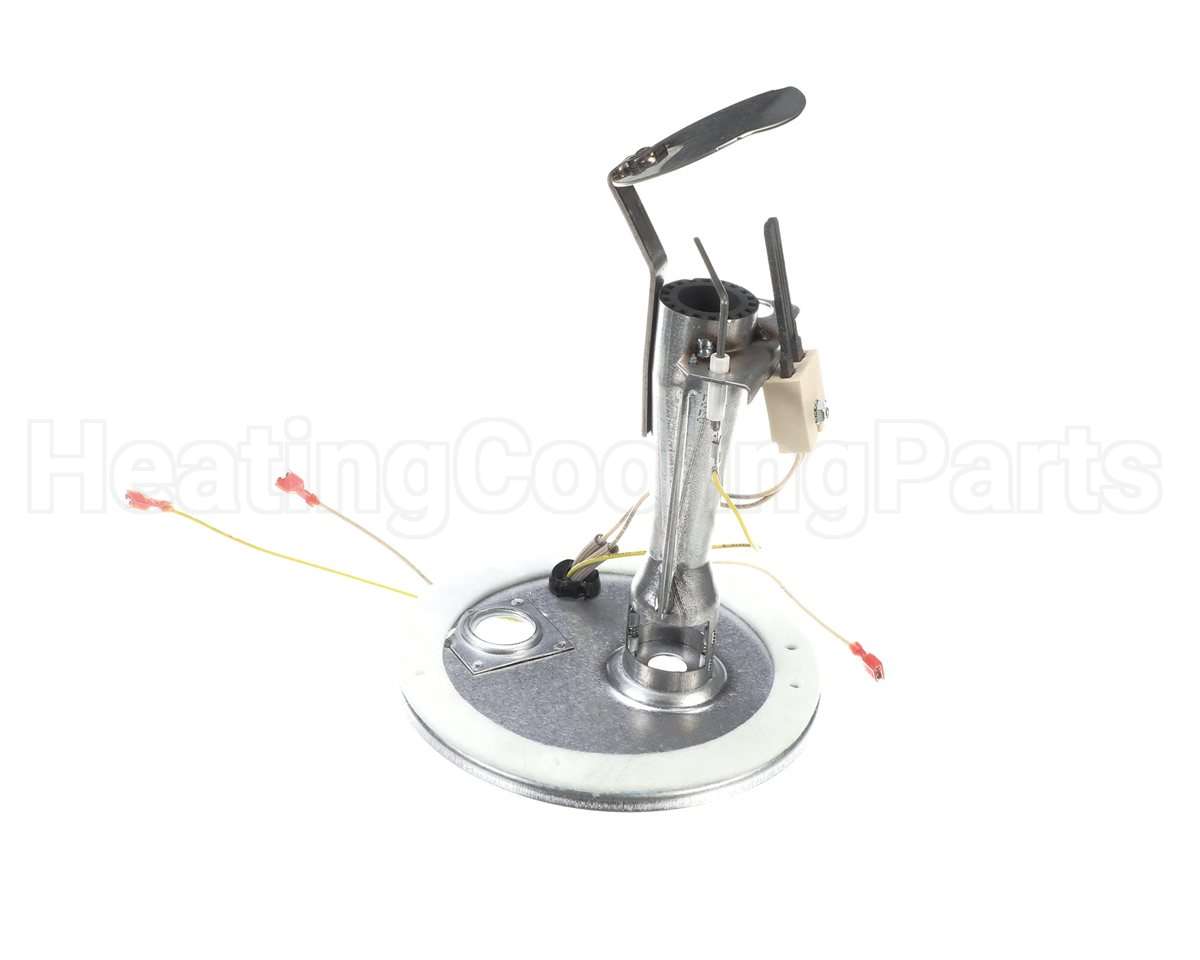 S1-373-19801-403 York Burner Assembly