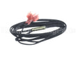 S1-6043485 York Controls Sensor Temp -40-110C Male