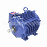 S513 Marathon Variable Speed Motor