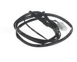 SEN03021 Trane Sensor Ambient