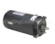 SK1102 Regal Rexnord - Century Motors 1Hp 3450 115/230 Keyed Shaft