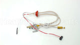 SP20739 Rheem-Ruud Pilot Assembly Ng