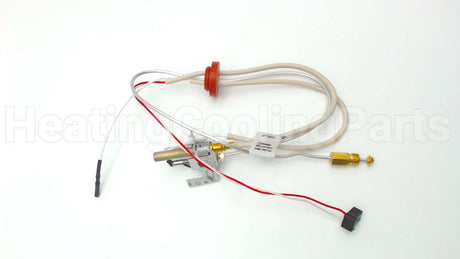 SP20739 Rheem-Ruud Pilot Assembly Ng
