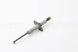SP20760 Rheem-Ruud Flame Rod