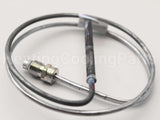 SP6379R Rheem-Ruud 24" Thermocouple