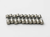 SR6A-001RP Taco 6Amp Fuse 10 Pack