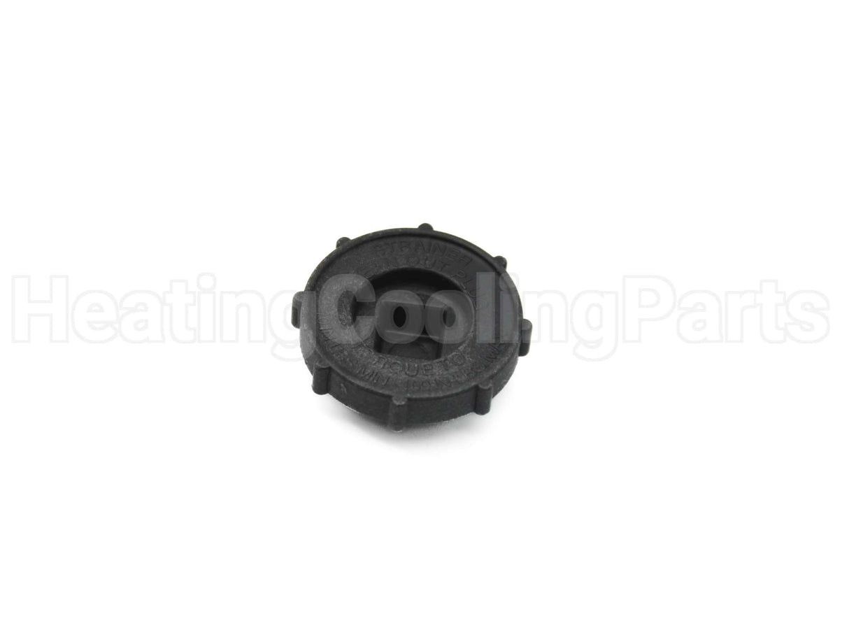 V14609 Xylem-Bell & Gossett Strainer Nut