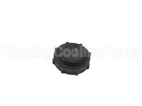 V14609 Xylem-Bell & Gossett Strainer Nut