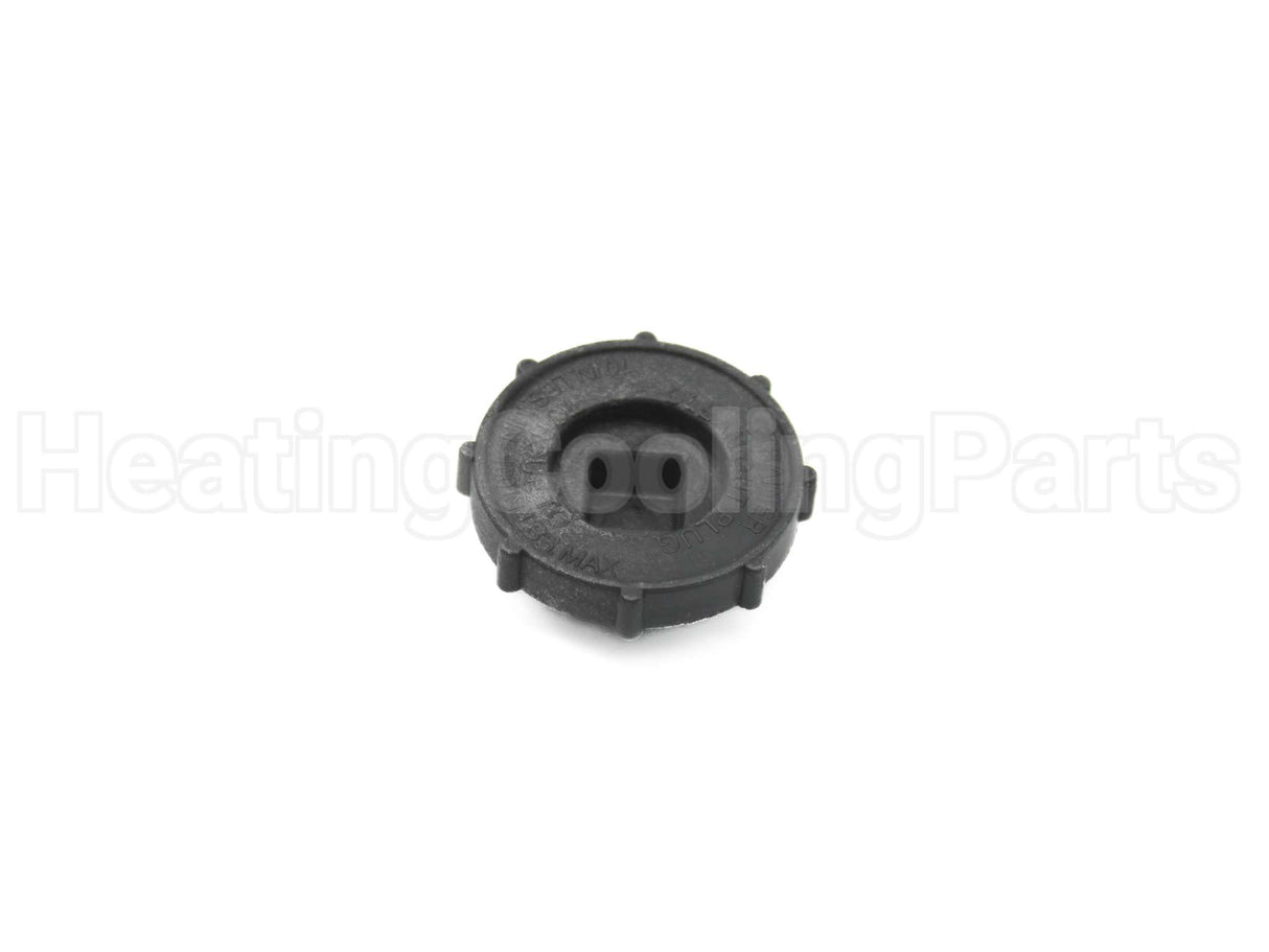 V14609 Xylem-Bell & Gossett Strainer Nut