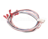 V59310 Aaon Ignition Control Wire Harness