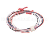 V59310 Aaon Ignition Control Wire Harness