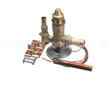 VAL9069 Trane 300Psi Relief Valve