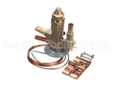VAL9069 Trane 300Psi Relief Valve