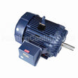 W094-P Marathon Motor