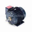 W501 Marathon Motor