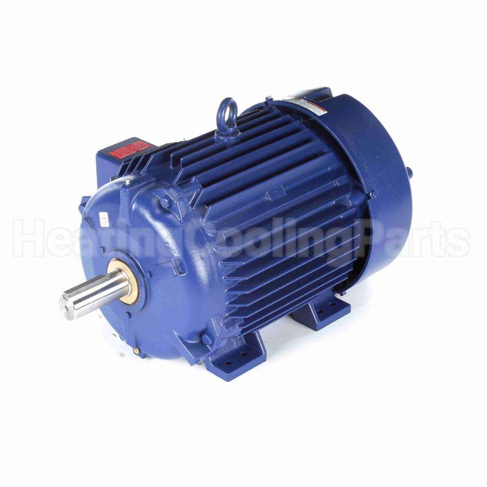 W556A Marathon Motor