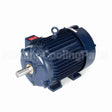 W567-P Marathon Motor
