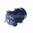 W567A Marathon Motor