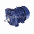 W580A-P Marathon Motor
