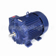 W598A Marathon Motor