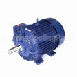 W600A Marathon Motor